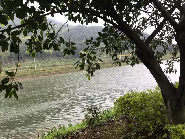 ԡ�ҹ�ʮ��Ʒ��