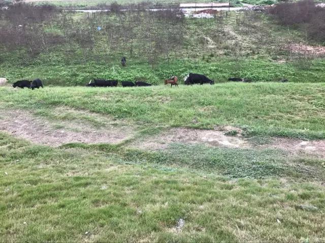 ԡ�ҹ�ʮ��Ʒ��